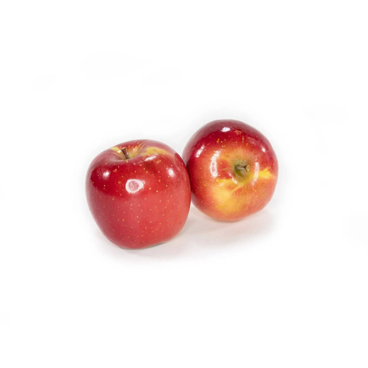 Apple - Sugar Bee Lb - The Orchard
