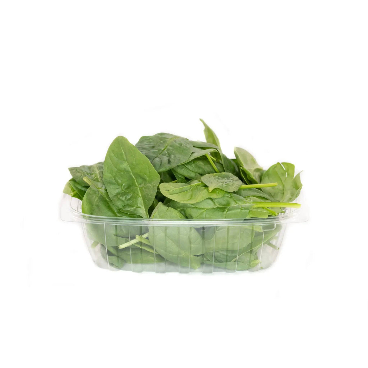 Baby Spinach - Small - The Orchard