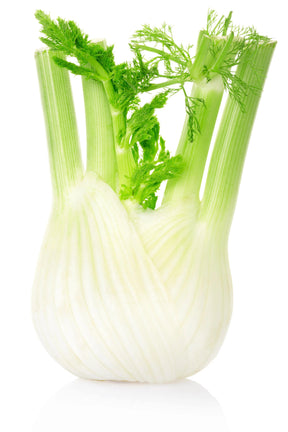 Fennel - Piece - The Orchard