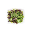 Mesclun - Small - The Orchard