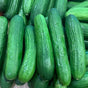 Mini Cucumber ( Persian  ) - Lb - The Orchard