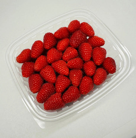 Raspberries - Large - The Orchard